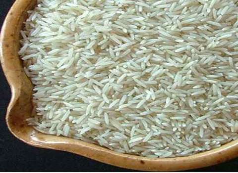 خرید و قیمت برنج طارم خالص + فروش صادراتی